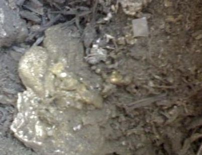 �a�������ИI�đ��Ã���������